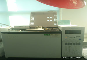 PANNA  A91气相色谱仪